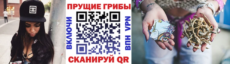 Купить закладки  Спас-Деменск  Галлюциногенные грибы Psilocybine cubensis 